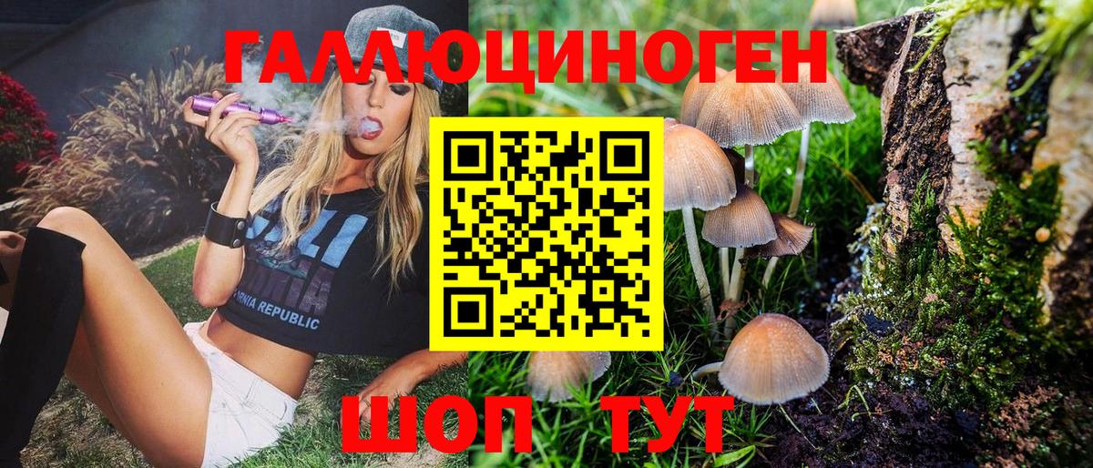 Кондопога  Псилоцибиновые грибы MAGIC MUSHROOMS  Псилоцибиновые грибы Cubensis  Вход с VPN 