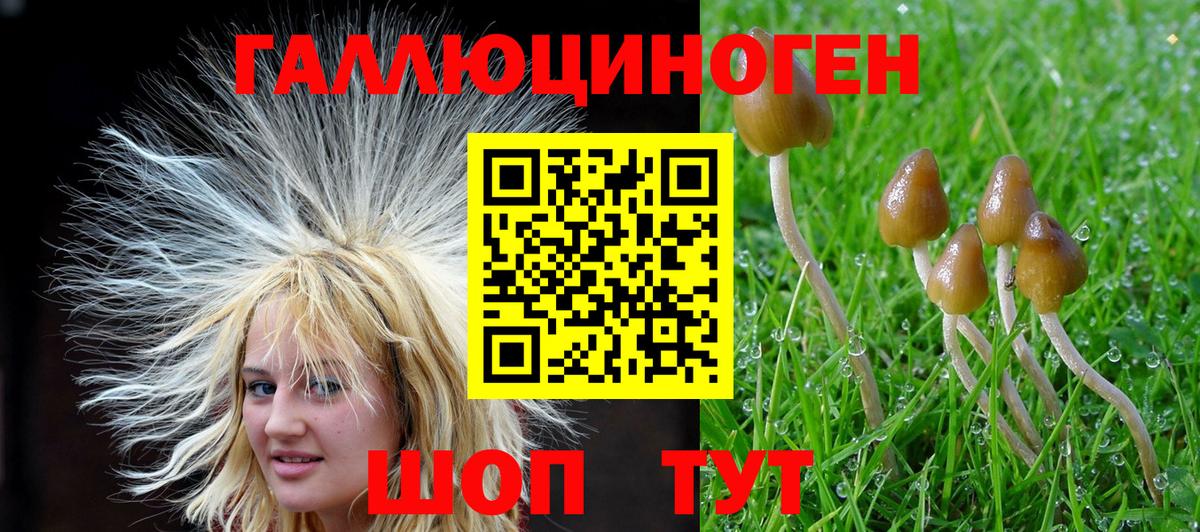 Псилоцибиновые грибы Cubensis Кондопога